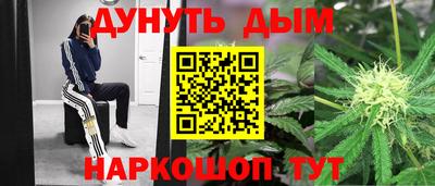 мяу мяу мука Новозыбков