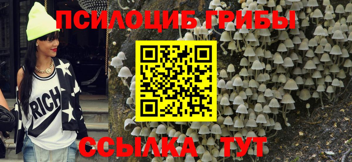 Псилоцибиновые грибы мухоморы Солнечногорск